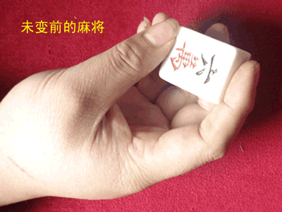 �齫һģ����֮���α���