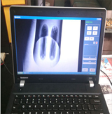 ����͸��Ч��