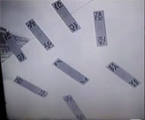 ȫ��͸�������廭�桾��Ƶ��