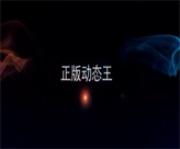 ���°涯̬����ʵս��Ƶ��