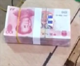 ����һ�ɫ��������벻��