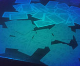 �������˿���������һ��һ��ɫ���